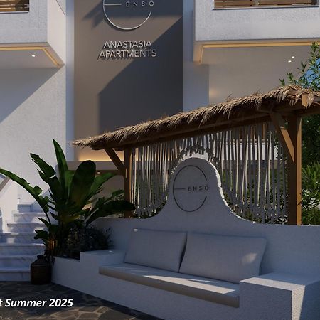 Anastasia Apartments هانيوتي المظهر الخارجي الصورة